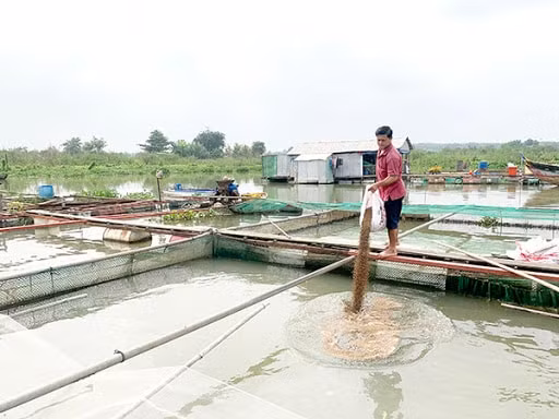 Nông dân 