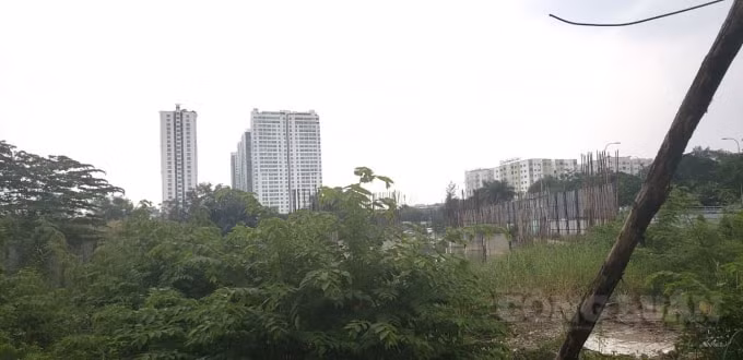 Sau khi dự án dừng triển khai, chủ đầu tư cũng biến mất, khách hàng cùng ngân hàng đã kiện công ty này ra tòa để đòi tiền và được tuyên thắng kiện.