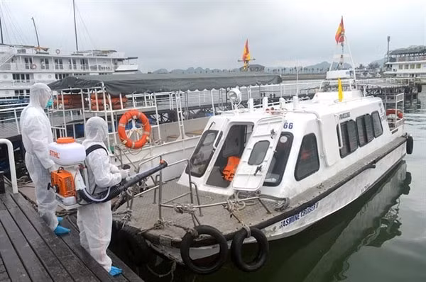 Nhiều tàu du lịch Vịnh Hạ Long phải nằm bờ do ảnh hưởng bởi làn sóng dịch COVID-19. Ảnh: TL