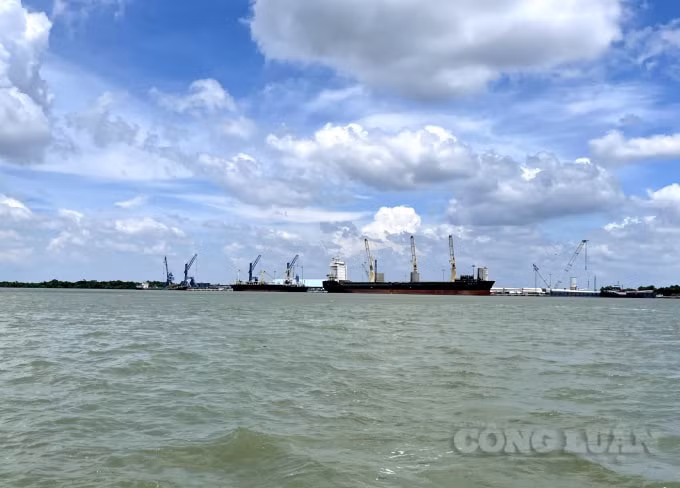 Hàng loạt tàu hàng nằm chờ vì không có công nhân làm việc.
