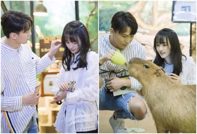 Trịnh Sảng và Trương Hằng hồi còn mặn nồng.