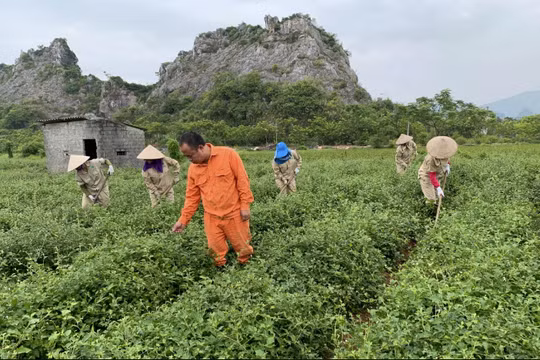 Hà Nội tăng trưởng 2 con số: Sự đồng hành của Thành phố là “điểm tựa” cho doanh nghiệp bứt phá