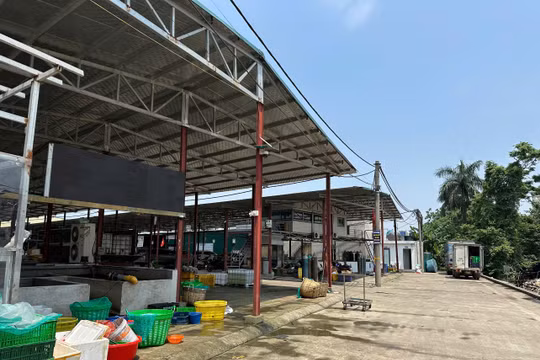 Hợp tác xã Sở Thượng xây dựng sai phép, cho thuê ki-ốt kinh doanh trái quy định?