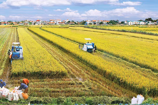 Tiền có, vốn có, nhưng nông dân gặp khó khi tìm “cửa” tín dụng