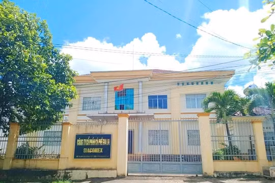 Dấu hiệu hình sự trong cổ phần hóa tại Công ty Cà phê Gia Lai?