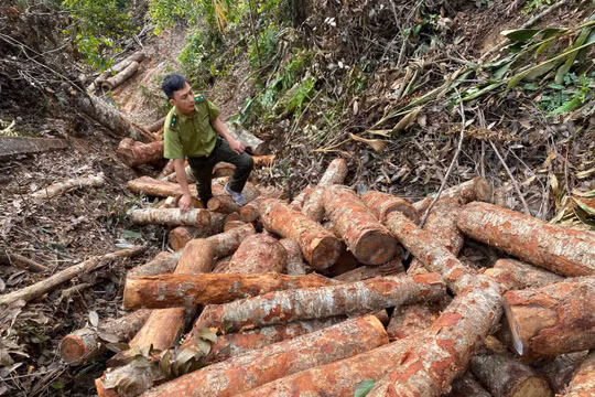 Những tháng ngày băng rừng tìm sự thật
