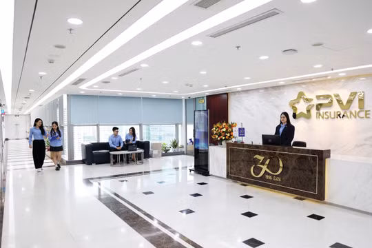 Bảo hiểm PVI: Nâng năng suất lao động – bệ phóng cho tăng trưởng bền vững và vị thế dẫn đầu