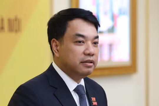 GS.TS Mạc Quốc Anh: Giảm thuế để doanh nghiệp nhỏ có thêm nguồn lực đầu tư và lớn lên