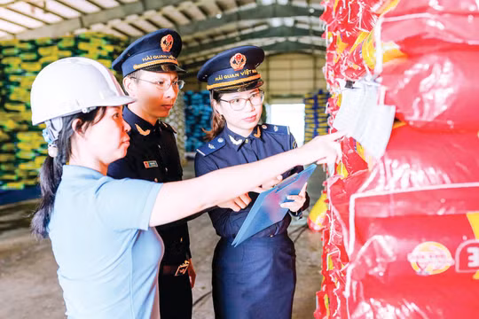 Hải quan tăng tốc mở rộng Cổng thông tin một cửa quốc gia, kết nối cơ chế một cửa ASEAN