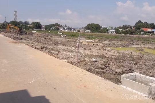 Đề xuất thu hồi đất được Nhà nước giao nếu bỏ hoang, không sử dụng quá 5 năm