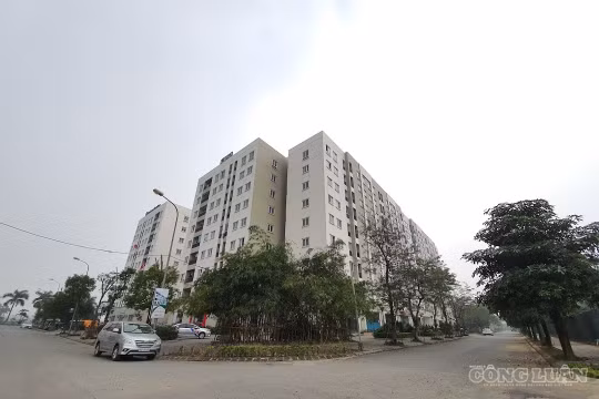 Người thuê nhà ở xã hội được mua nhà theo giá nào sau 5 năm?