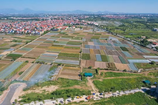 Mê Linh hiện được xem là "vùng trũng giá" cuối cùng của Hà Nội. Ảnh: VV