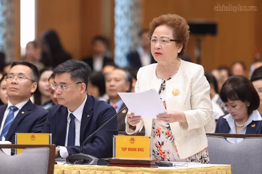 Quyền Chủ tịch Hội Doanh nhân Tư nhân Việt Nam, Chủ tịch Tập đoàn BRG đề xuất ba nhóm giải pháp trọng tâm thúc đẩy phát triển kinh tế tư nhân