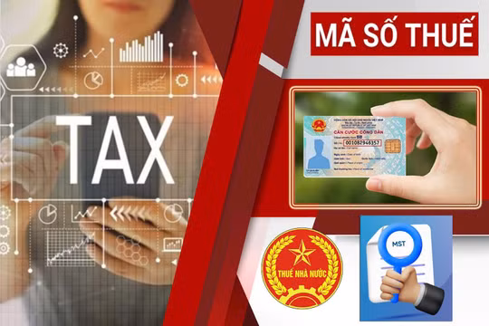 Làm sạch mã số thuế để chặn hóa đơn khống, thất thu ngân sách