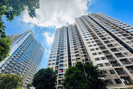 HoREA đề xuất bổ sung loại hình 'đất ở có thời hạn' vào Luật Đất đai