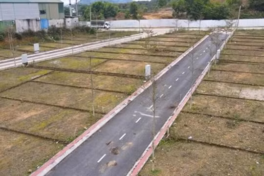 HoREA chỉ ra bất cập sau 3 tuần áp dụng quy định tách thửa tại TP HCM