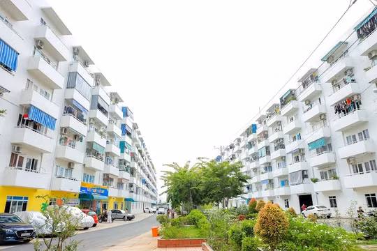 Thuê nhà để ở, mua nhà để tích sản: Vì sao người trẻ càng trì hoãn càng khó sở hữu nhà?