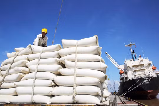 VCCI đề nghị 'loại' xuất khẩu gạo ra khỏi danh mục kinh doanh có điều kiện