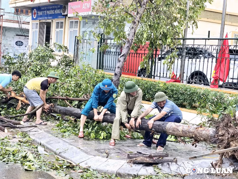 ha long quang ninh dong loat ra quan khac phuc hau qua do bao so 3 gay ra hinh 4