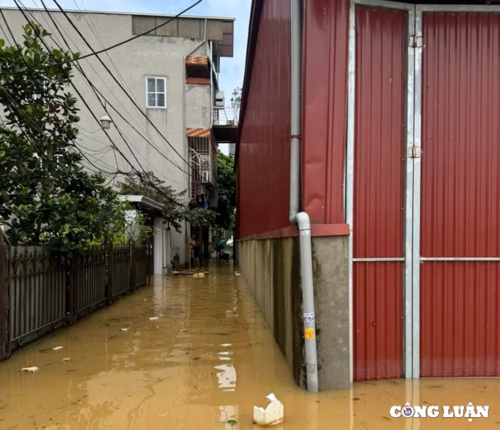 van con diem dan cu ngap sau gan 2m tai thanh tri tiep tuc tiep te cho nguoi dan hinh 1