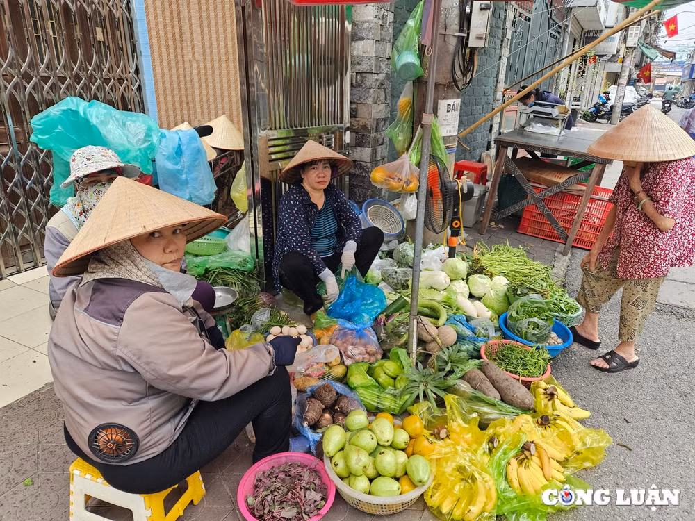 hai phong chi dao xu ly nghiem viec gam hang tang gia sau bao so 3 hinh 1