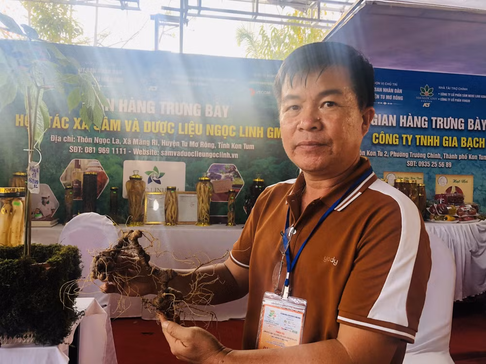 lien tiep xay ra tinh trang mat trom sam ngoc linh nguoi dan kon tum dung ngoi khong yen hinh 2