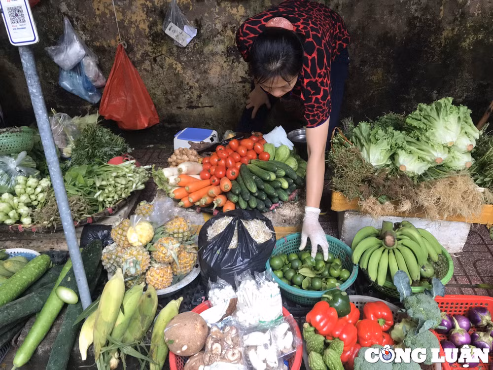 mua lon keo dai rau xanh tang gia hinh 1