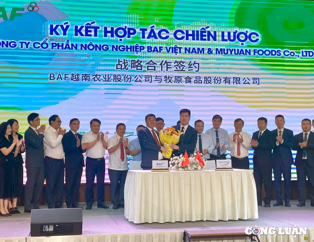 nong nghiep baf hop tac voi muyuan foods ung dung cong nghe ai vao chan nuoi hinh 1