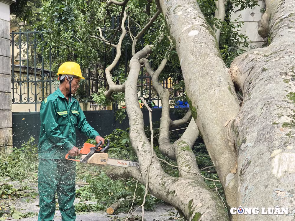 gan 1 tuan sau bao yagi ha noi van ngon ngang cay do tai nhieu tuyen pho hinh 7