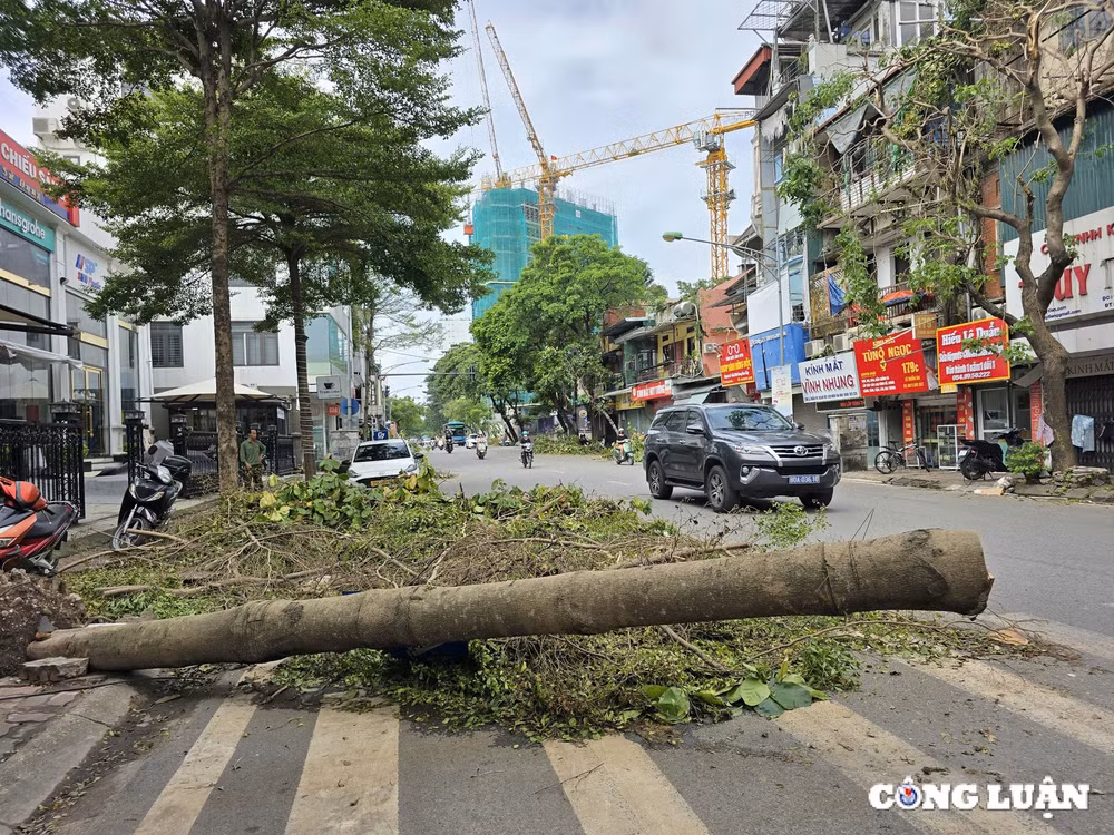 gan 1 tuan sau bao yagi ha noi van ngon ngang cay do tai nhieu tuyen pho hinh 5