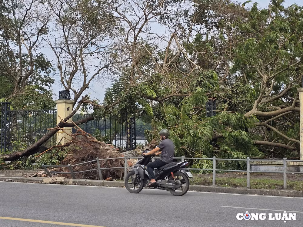 gan 1 tuan sau bao yagi ha noi van ngon ngang cay do tai nhieu tuyen pho hinh 6