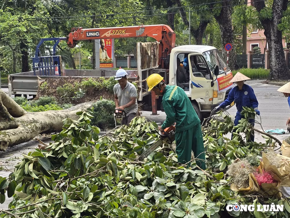 gan 1 tuan sau bao yagi ha noi van ngon ngang cay do tai nhieu tuyen pho hinh 8