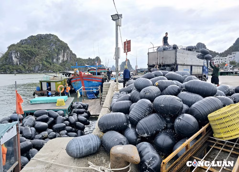 quang ninh dieu tra nghiem tri doi tuong thu gom phao nhua vat tu khong phai cua minh hinh 5