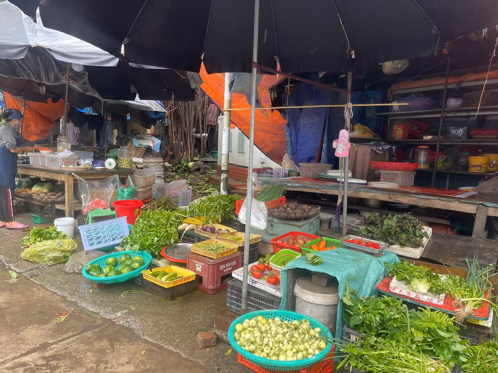 rau xanh doi gia 2 3 lan se con tiep dien den bao gio hinh 1