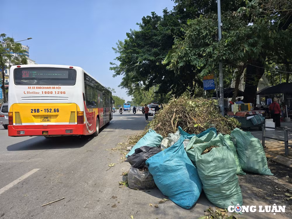 bi thu ha noi cung nguoi dan tong ve sinh moi truong sau bao so 3 hinh 6