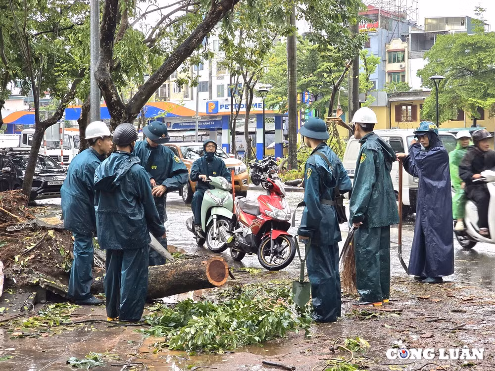 ha noi khan truong giai toa khac phuc thiet hai ve cay xanh gay do hinh 1