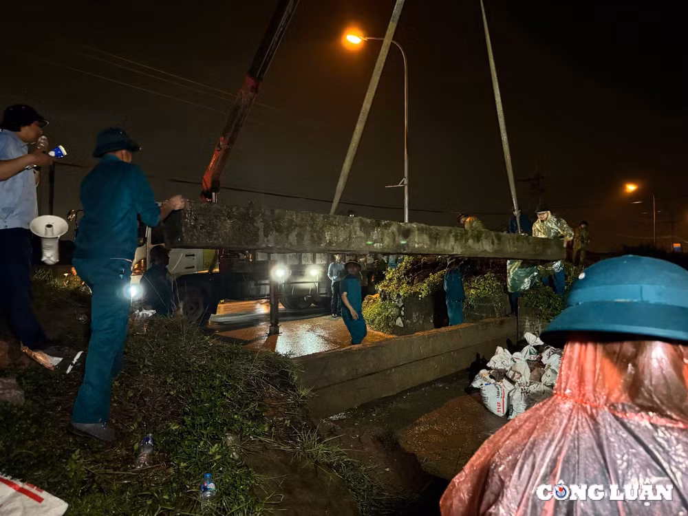 ha noi dien tap hoanh triet cua khau tai song hong hinh 1
