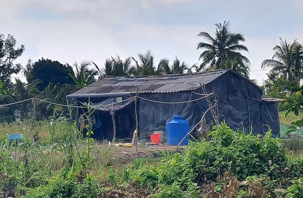 ca mau day manh trien khai thuc hien xoa nha tam nha dot nat hinh 1