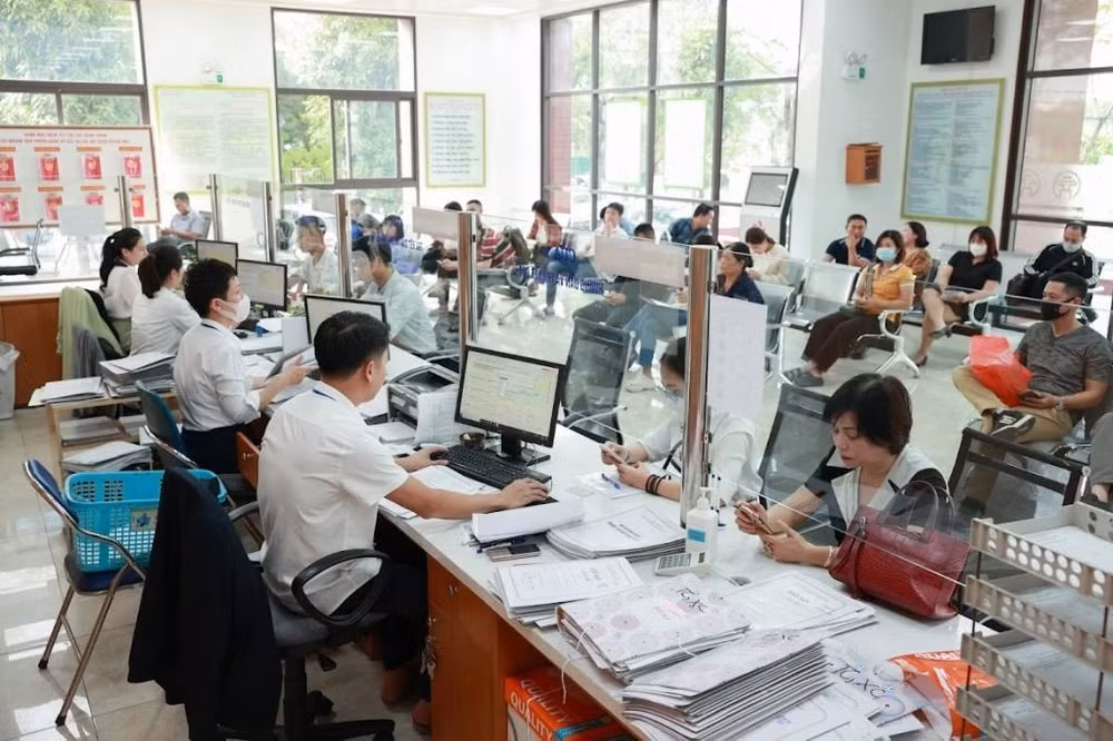 tinh gon bo may cuoc cach mang de dat nuoc vuon minh hinh 2