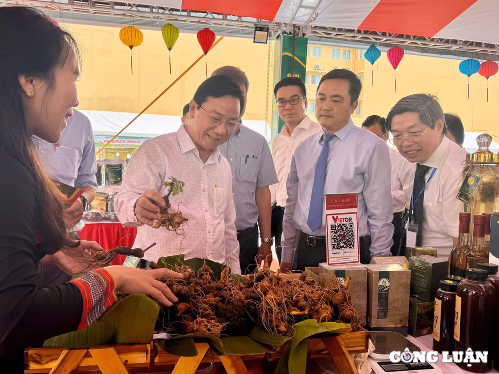 xuc tien xuat khau san pham ocop quang nam tai tp hcm hinh 4