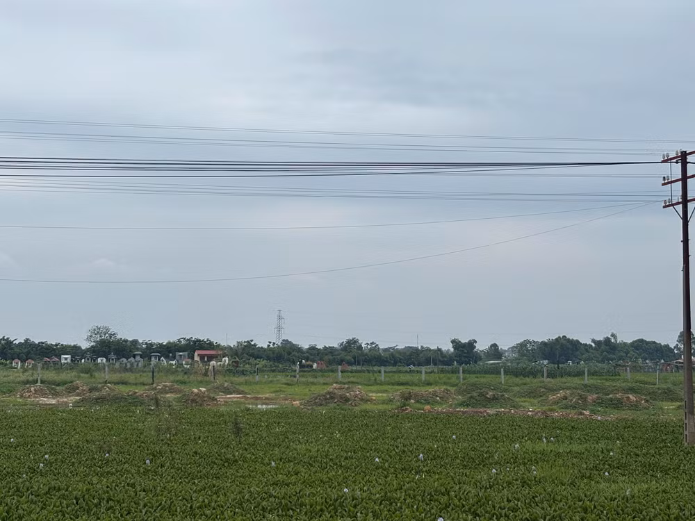 z7810250172481-9858e845805e46cfee259249f5c67e9f.jpg