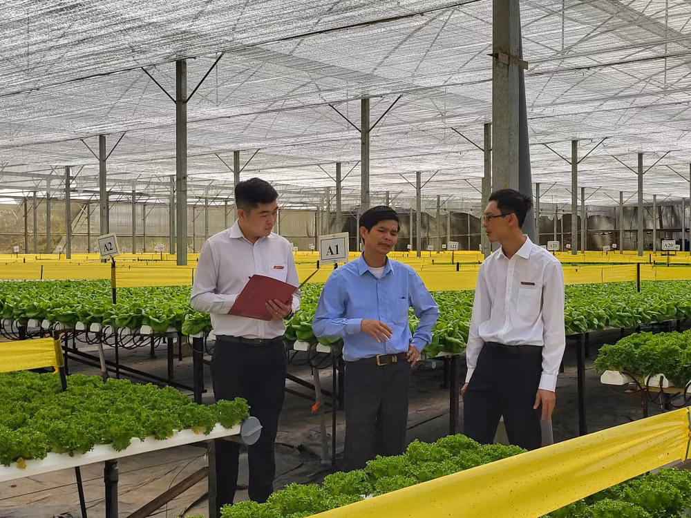 agribank tiep tuc khang dinh vai tro chu luc doi linh vuc nong nghiep nong thon hinh 2