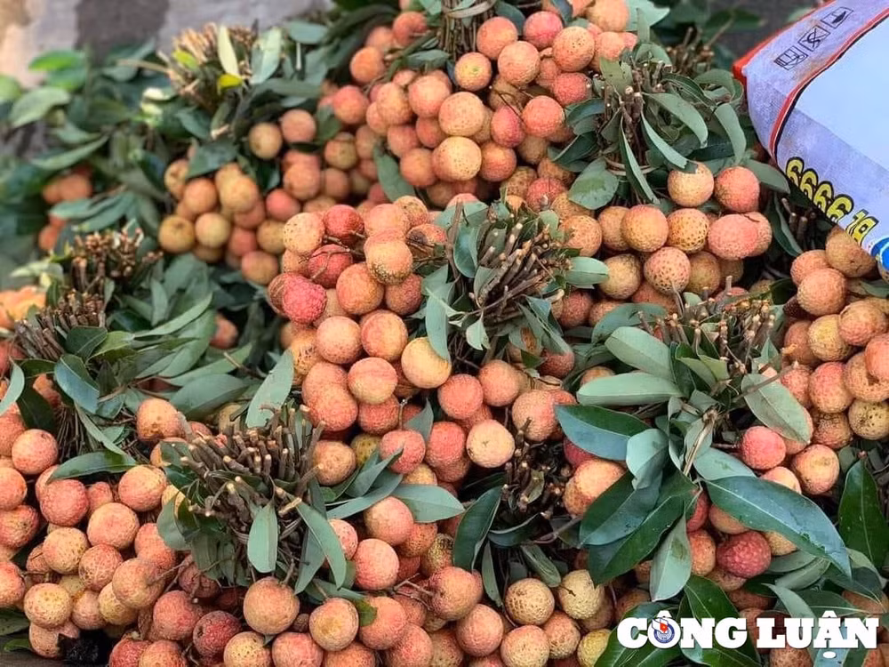 vai thieu thanh ha do bo doc cac tuyen pho ha noi moi noi mot gia hinh 4