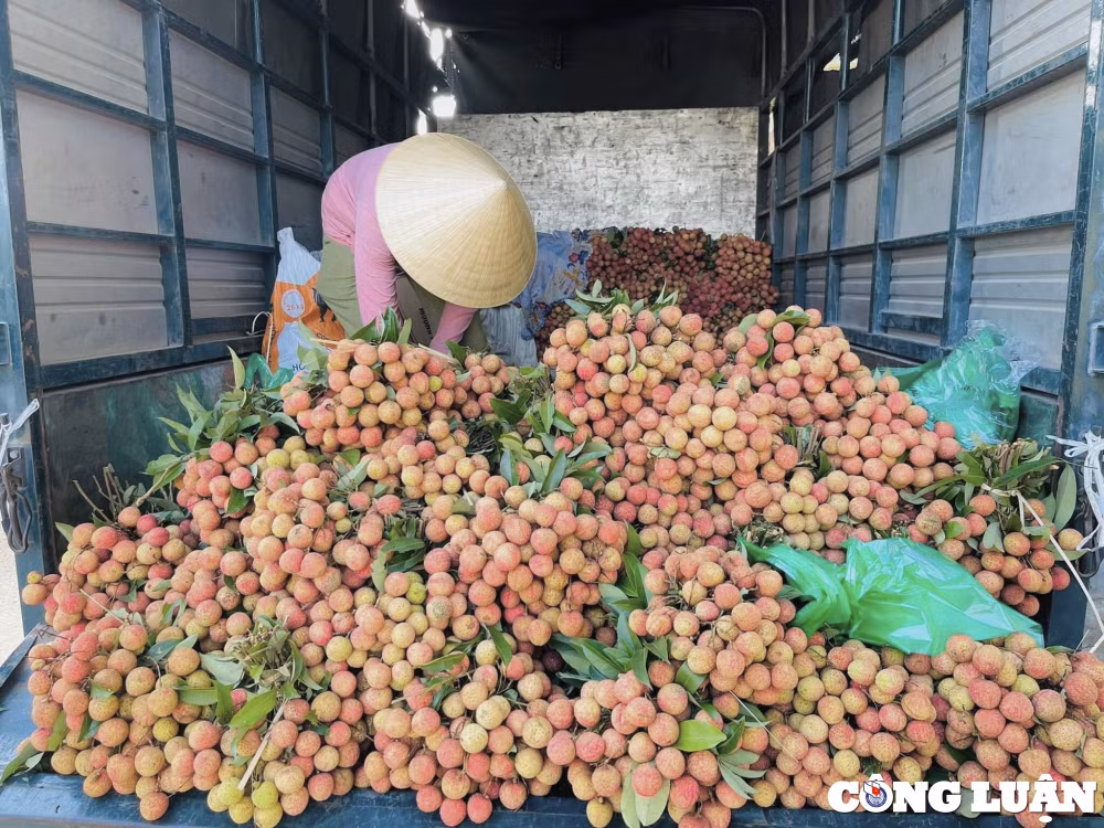 vai thieu thanh ha do bo doc cac tuyen pho ha noi moi noi mot gia hinh 2
