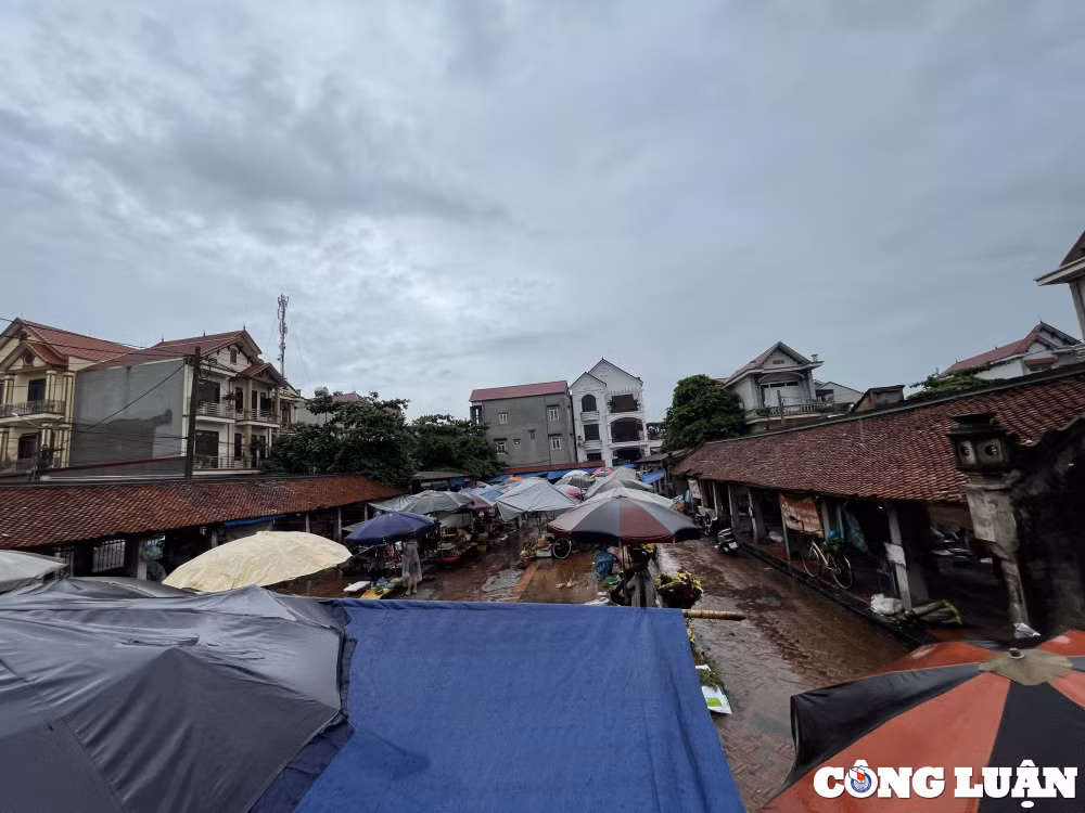 cho co gan 200 nam o hai duong xuong cap nghiem trong nguy co do sap hinh 1