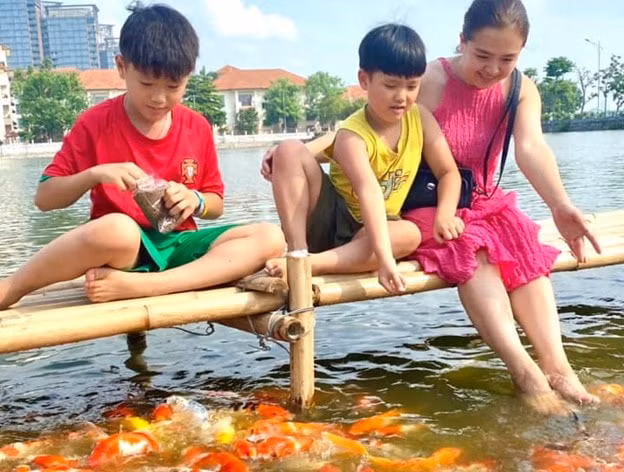 nguoi dan tai ha noi do xo nhau toi xem 8 tan ca koi duoc tha xuong ho tay hinh 2