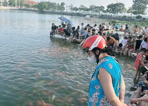 nguoi dan tai ha noi do xo nhau toi xem 8 tan ca koi duoc tha xuong ho tay hinh 1