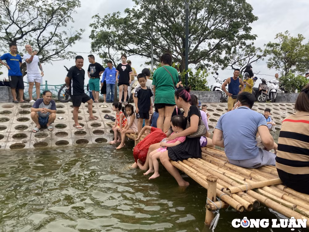 gioi tre ha noi thich thu vui dua voi hang nghin chu ca koi tuyet dep o ho tay hinh 12