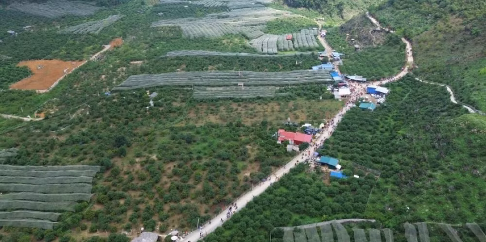 moc chau son la huong toi do thi xanh trong diem du lich quoc gia hinh 2