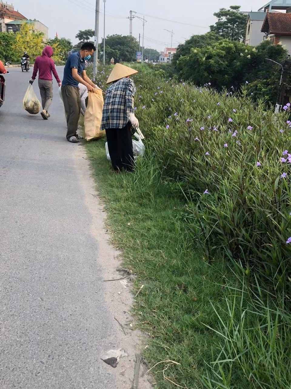 ve dong la ngam duong pho sang xanh sach dep an toan hinh 4